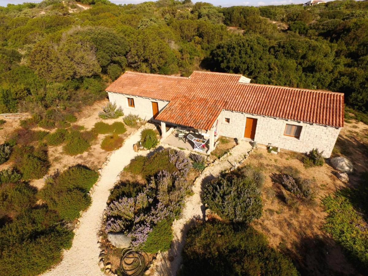 Апартаменты A Mare Di Ginepri 06D Bilo Бадеси Экстерьер фото